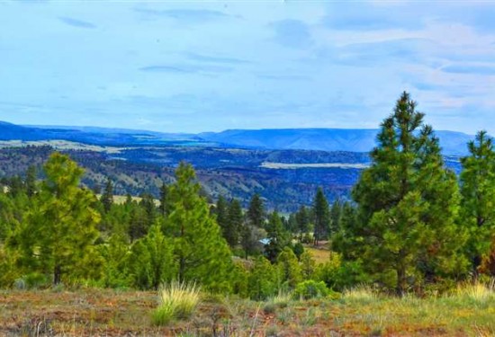 240 Acres of Land for Sale in wheeler County Oregon