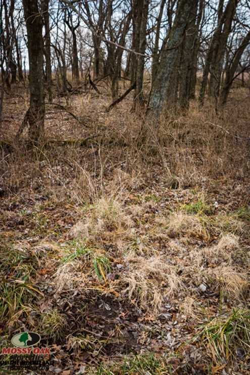 property for sale on The Land Market