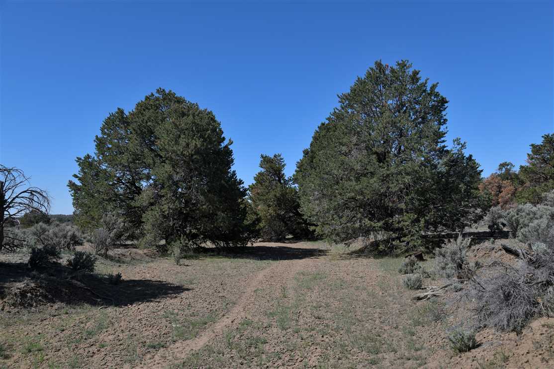 sandoval County, New Mexico property for sale