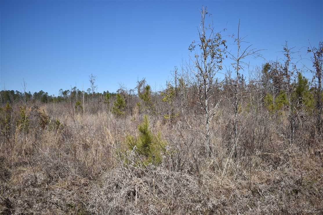 Land for sale to buy in  zip code