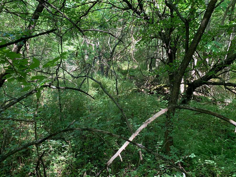Houses and land for sale in Kansas