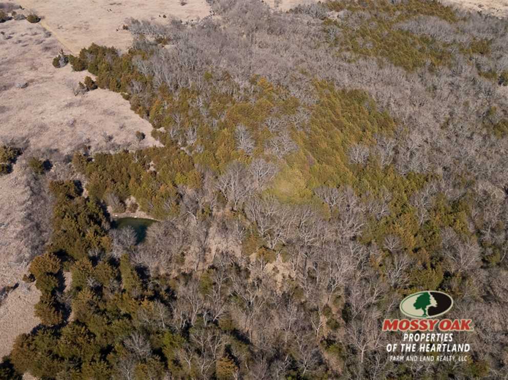 40 Acres of Beauty and Rolling Terrain Real estate listing