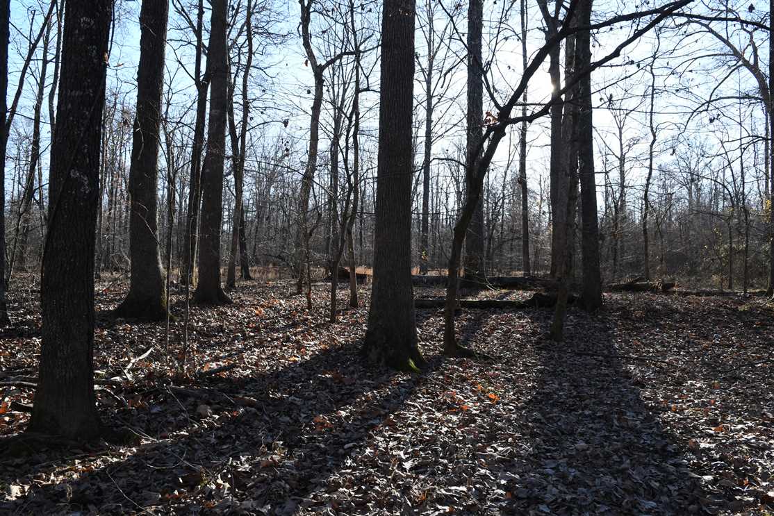 lonoke County, Arkansas property for sale