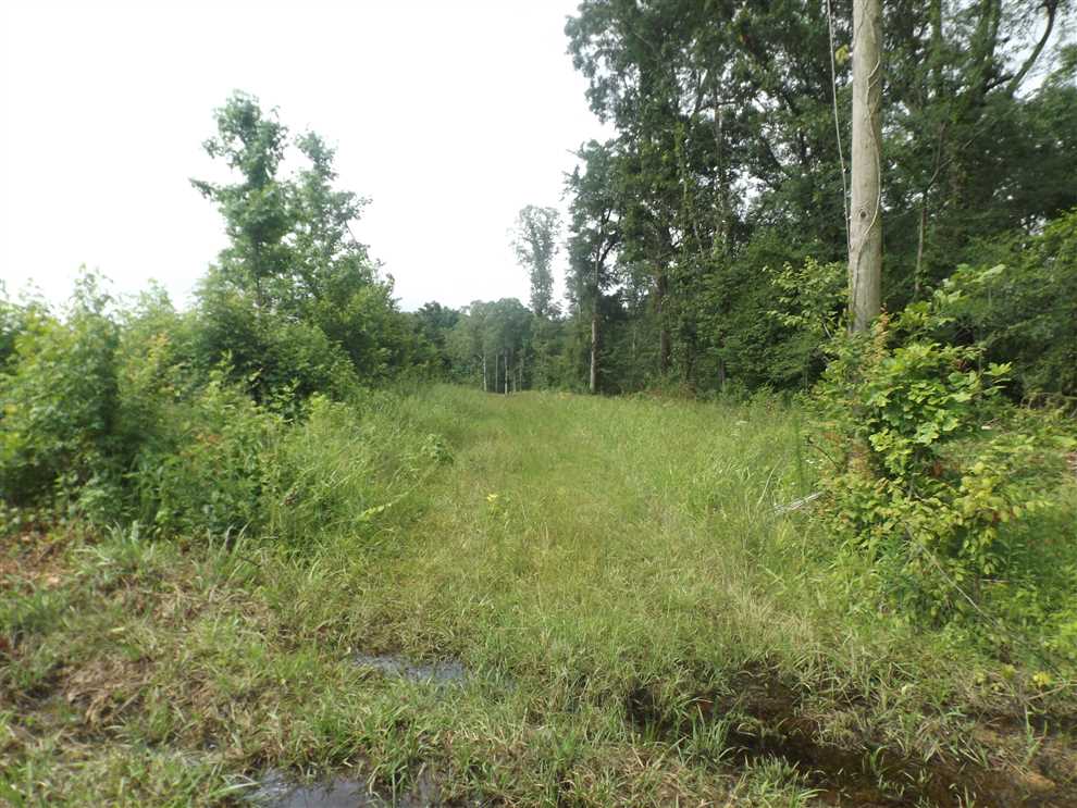 40 Acres of Recreational land for sale in Hamburg, ashley County, Arkansas