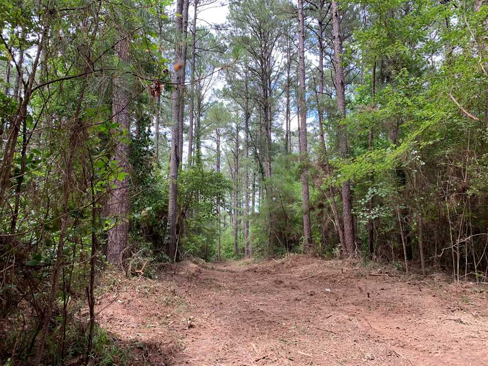 Land for sale at