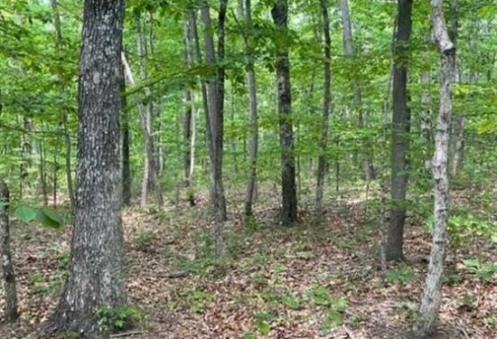 5.97 Acres of Land for Sale in grundy County Tennessee