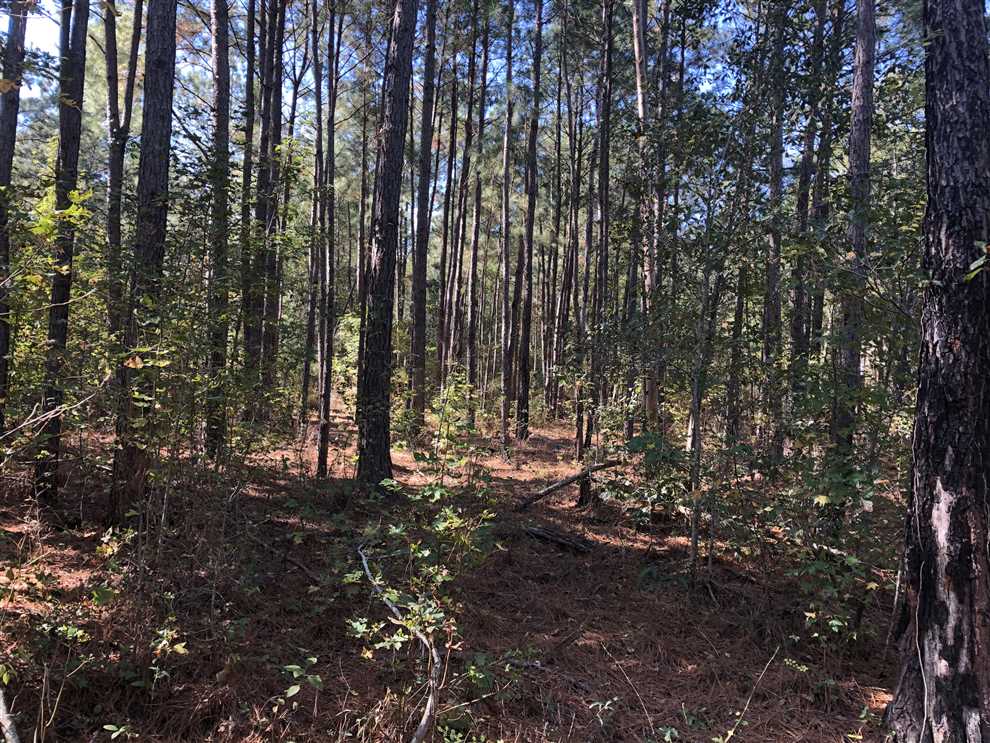 57 Acres of Land for sale in dooly County, Georgia