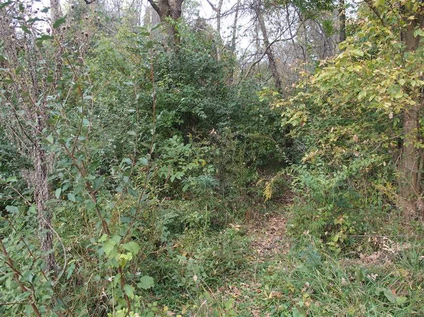 Houses and land for sale in Indiana