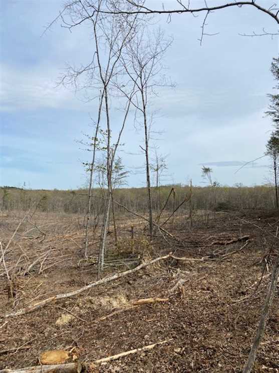 Property for sale at 139.94 Old CC Road 44.6+/-acres Mill Dam Road