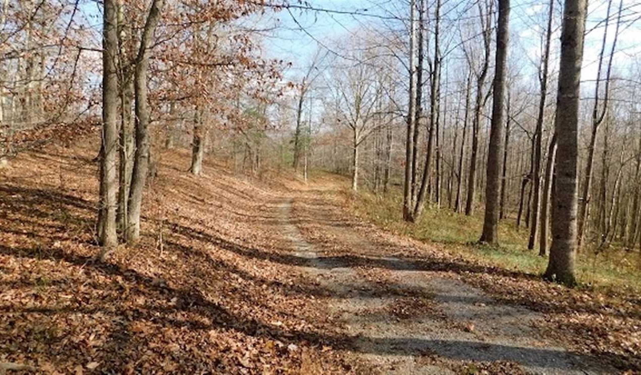 bedford County, Virginia property for sale