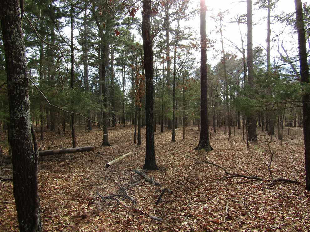 Recreational and   property for sale on The Land Market