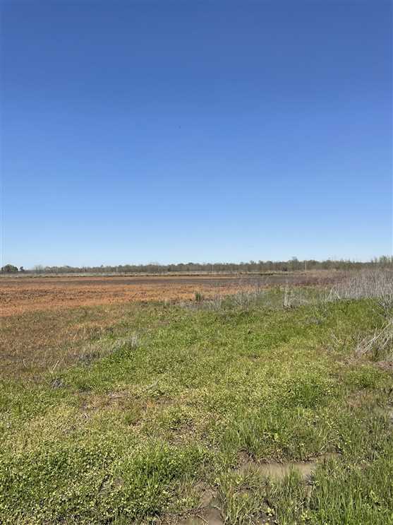 Richmond Ranch Tract, Little River County, AR, 320 Acres+/- Real estate listing