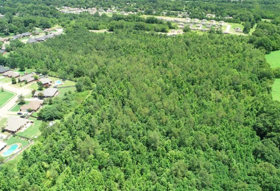 23.7 Acres of Land for Sale in lee County Mississippi
