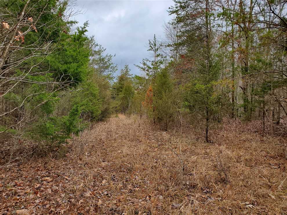 73 Acres of Land for Sale in yadkin County, North Carolina