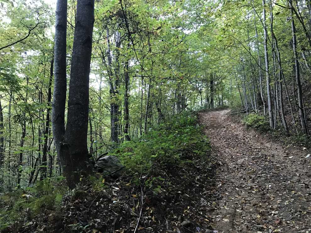 Houses and land for sale in North Carolina