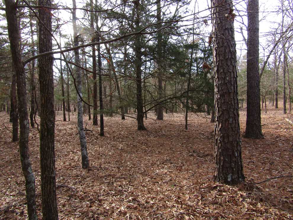 Development real estate available to buy