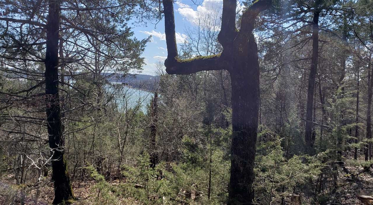 10 Acres of Land for Sale in taney County Missouri