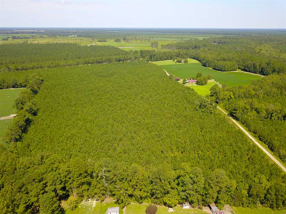 72 Acres of Residential land for sale in Kelford, bertie County, North Carolina