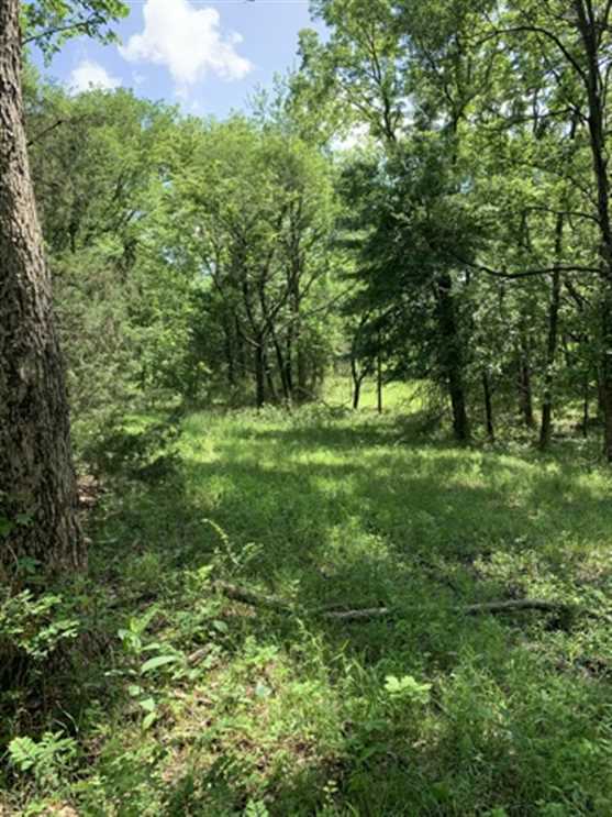 Land for sale to buy in 67351 zip code