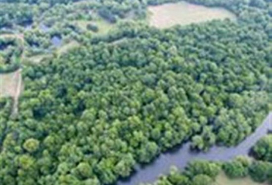 30 Acres of Land for Sale in mccurtain County Oklahoma
