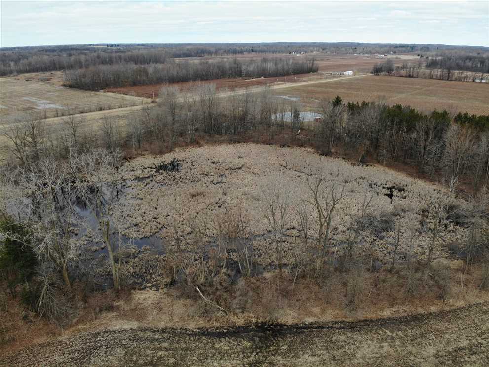 39.4 Acres of Recreational land for sale in Bangor, van buren County, Michigan