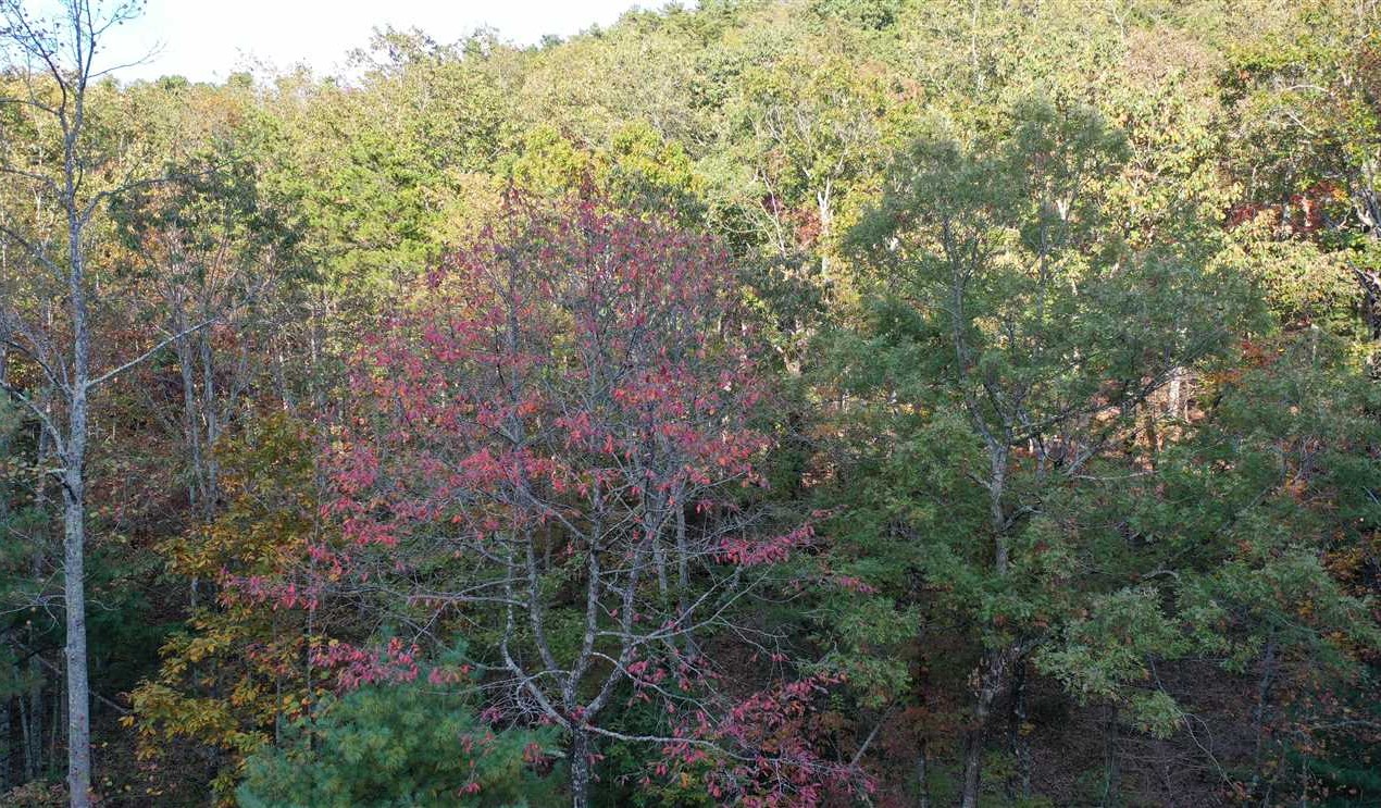 Land for sale to buy in 28655 zip code