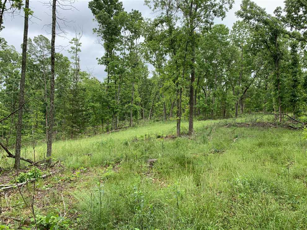 34.56 Acres of Residential land for sale in Bourbon, crawford County, Missouri