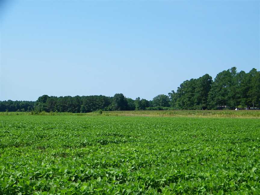 southampton County, Virginia property for sale
