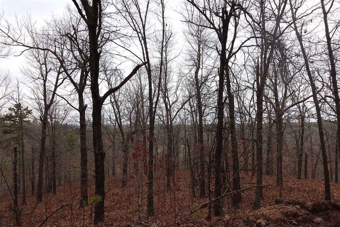 34.28 Acres of Land for sale in carroll County, Arkansas