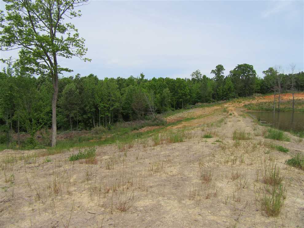 Residential and   property for sale on The Land Market