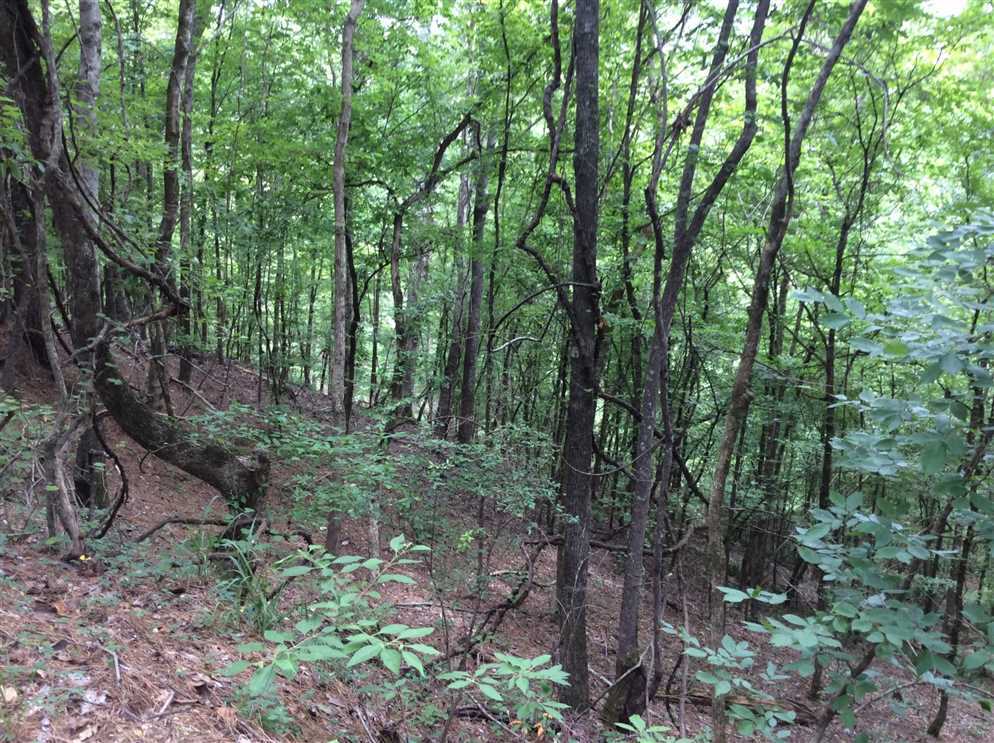 Catahoula Hills Tract, Catahoula Parish, 334 Acres +/- Real estate listing