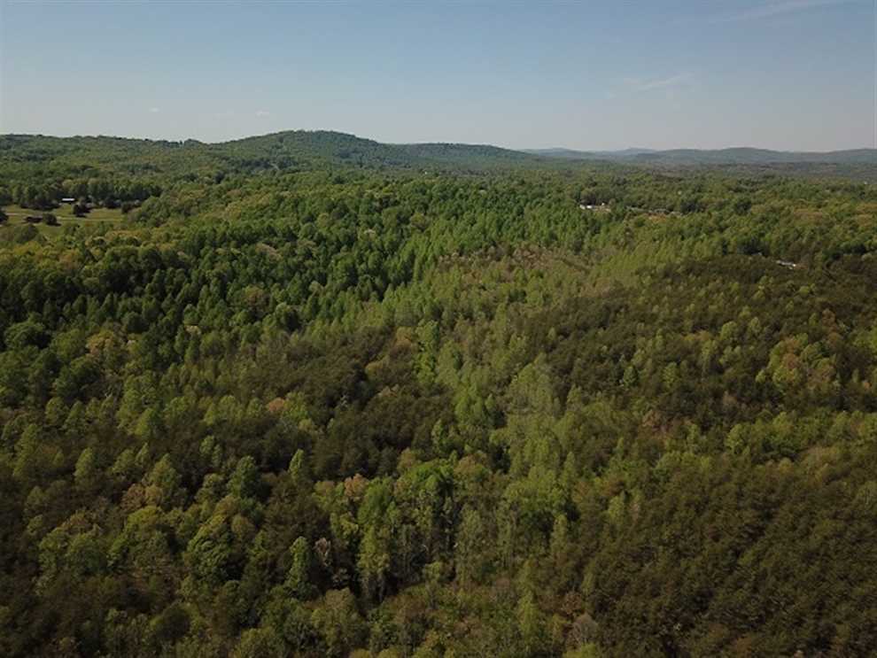 68.6 Acres of Recreational land for sale in Martinsville, henry County, Virginia