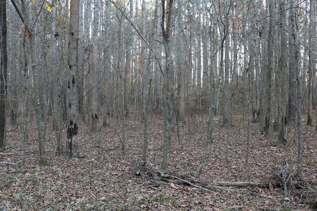Residential and   property for sale on The Land Market