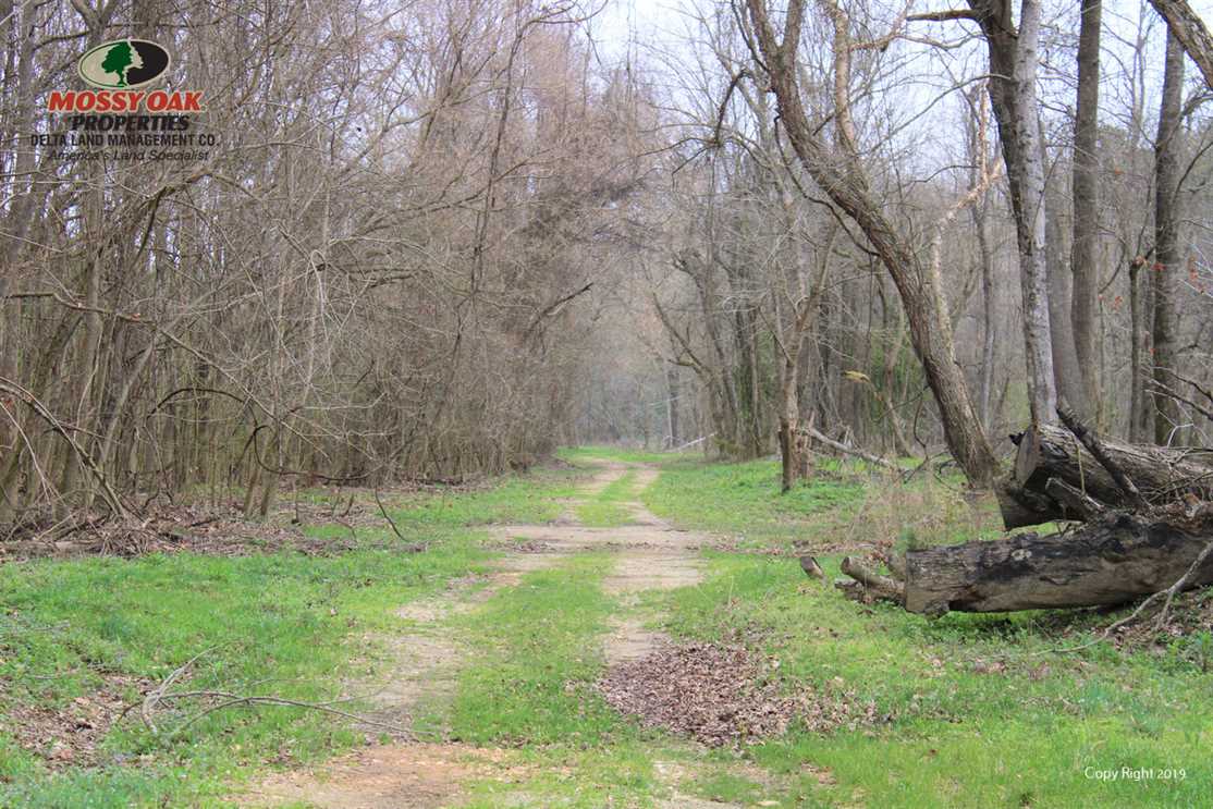 Land for sale at