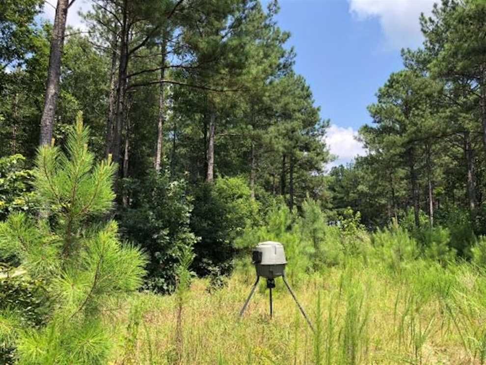 Houses and land for sale in North Carolina