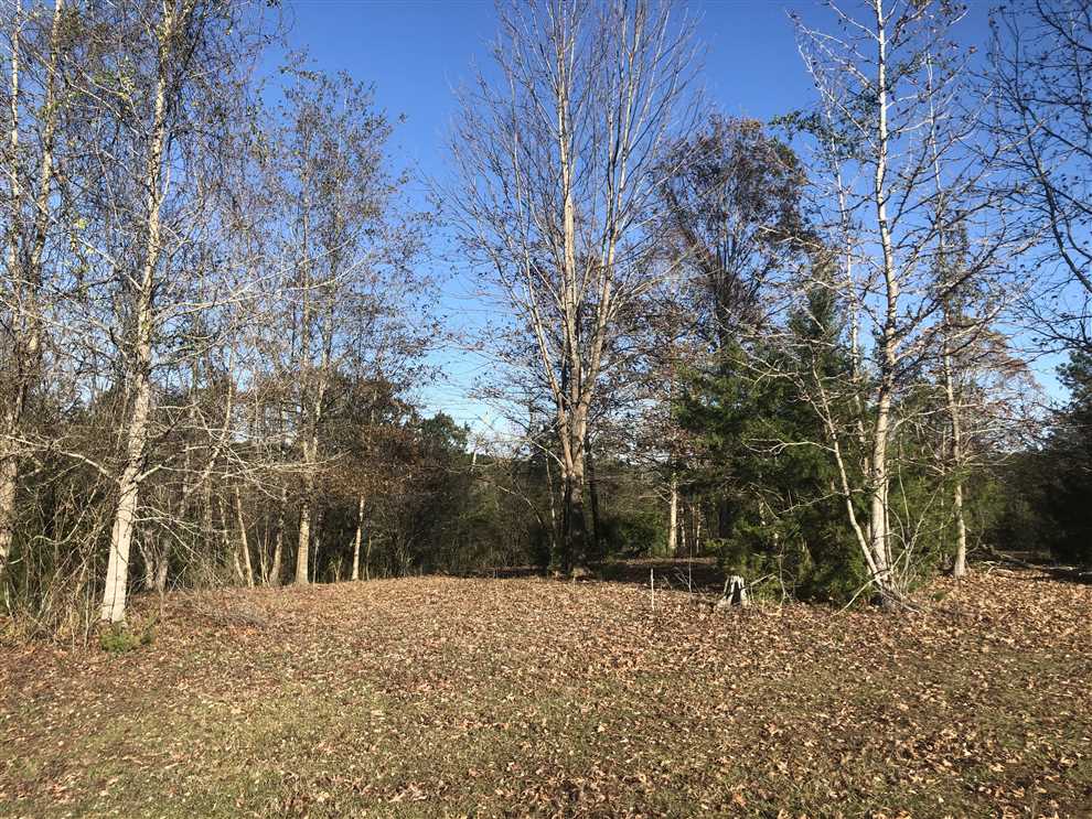 Residential and   property for sale on The Land Market