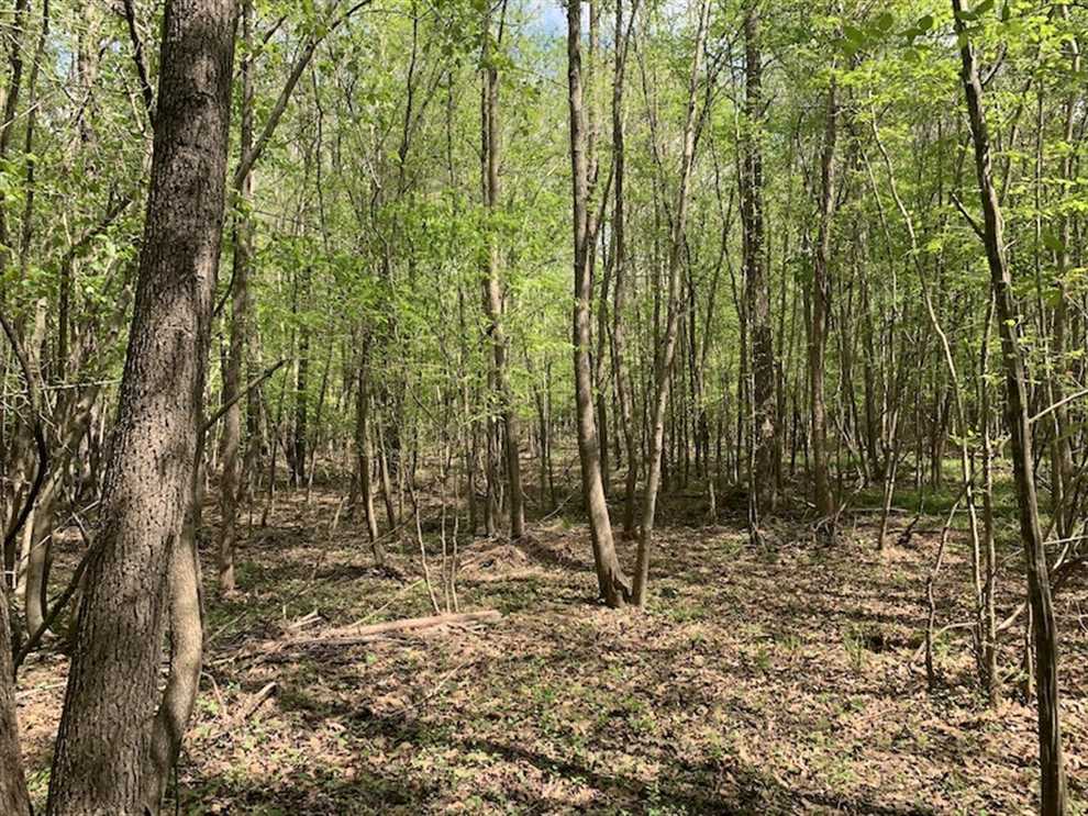 nash County, North Carolina property for sale