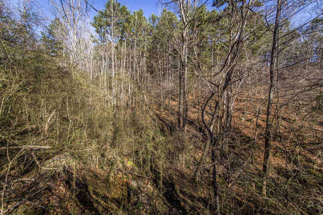Land for sale at Highway 65 North