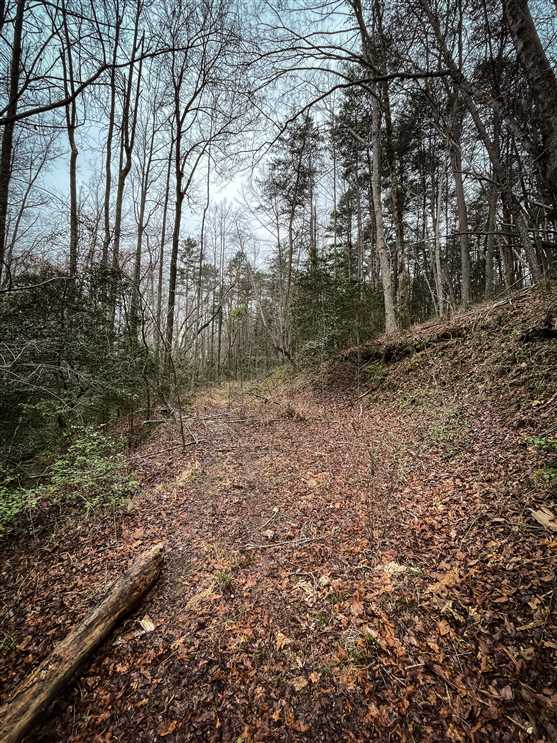 11.96 Acres of Land for sale in caldwell County, North Carolina