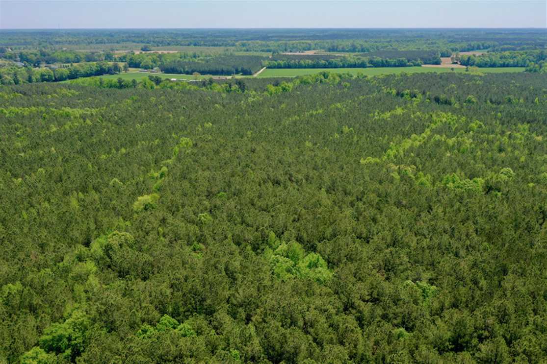 Land for sale to buy in 27910 zip code