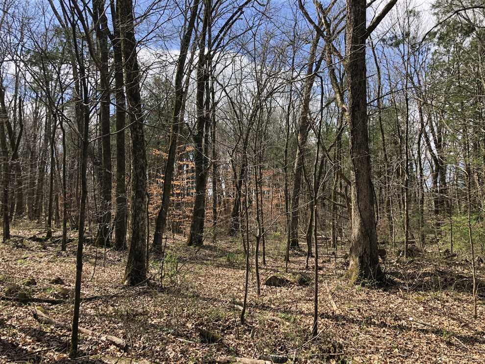 258 Acres of Recreational land for sale in Hillsboro, coffee County, Tennessee