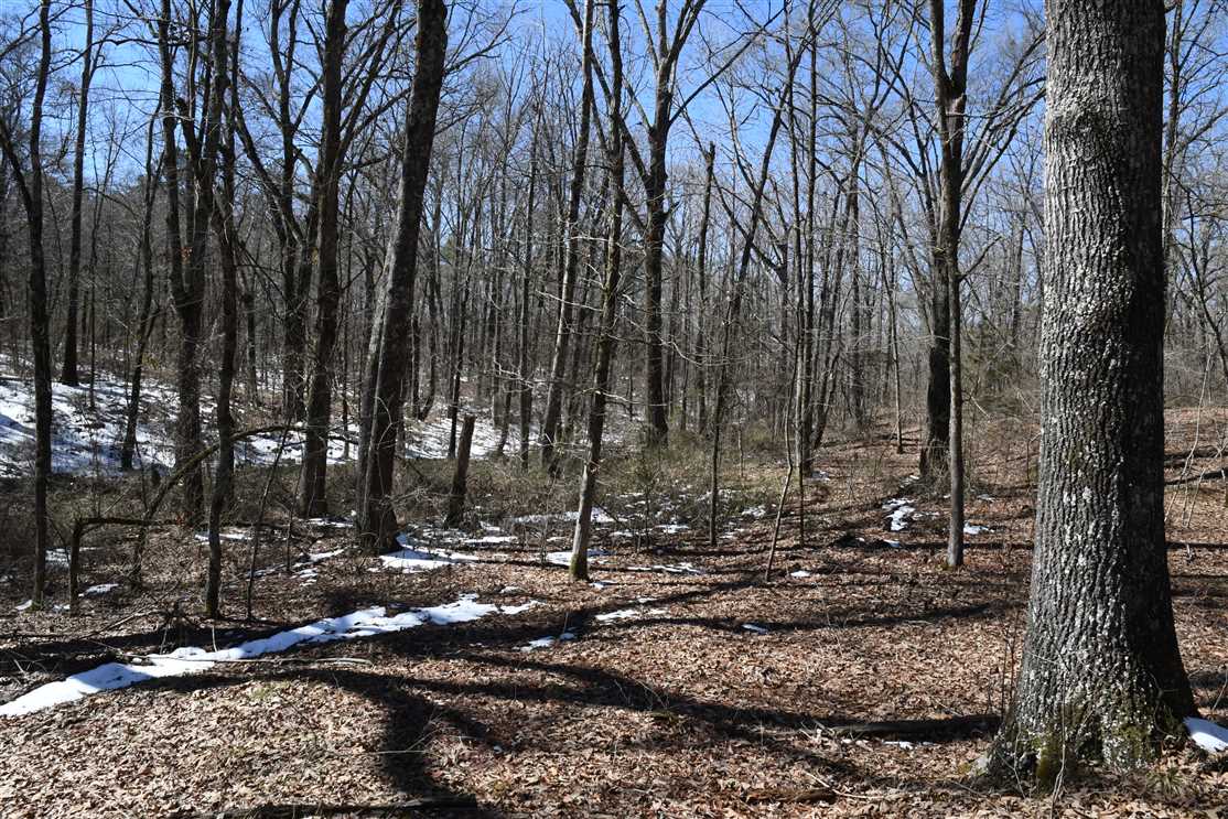 Land for sale to buy in 72106 zip code