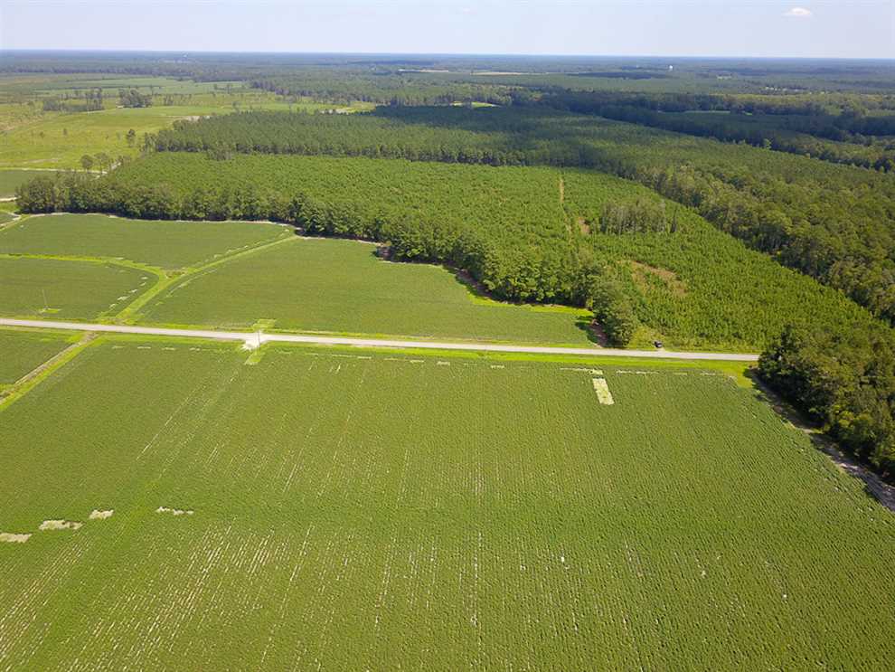Timberland real estate available to buy