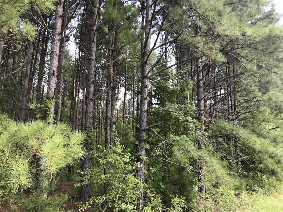 lowndes County, Mississippi property for sale