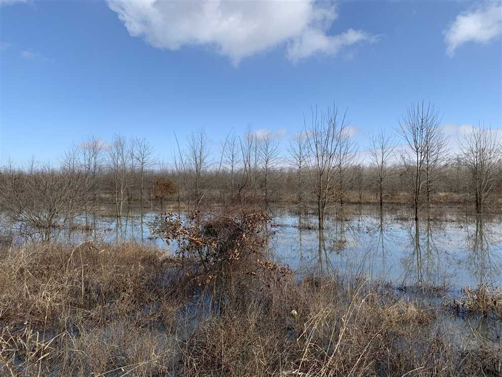 143 Acres of Land for sale in jackson County, Arkansas