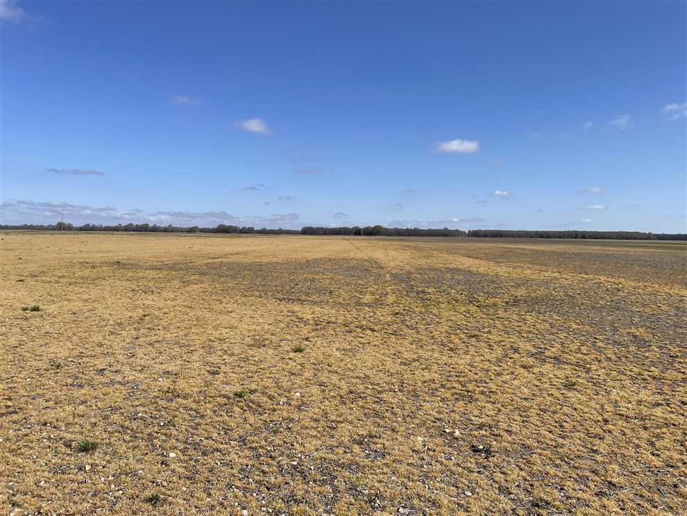 Property for sale at Savage Road