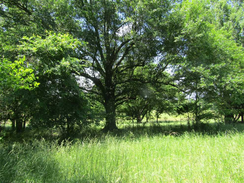 choctaw County, Oklahoma property for sale