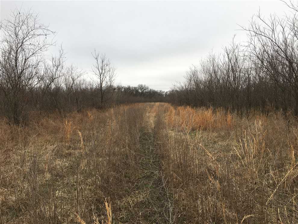Property for sale at 00000 S Willow Street Coffeyville, KS