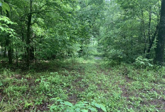 0.5 Acres of Land for Sale in cleburne County Arkansas