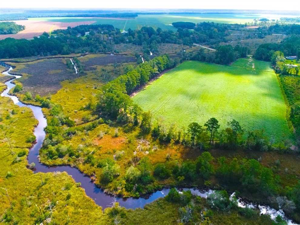 33 Acres of Land for Sale in pamlico County, North Carolina